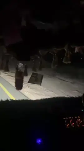 iskalaji💨🏁🦋🍁#CapCut #Aamiinlaptop 