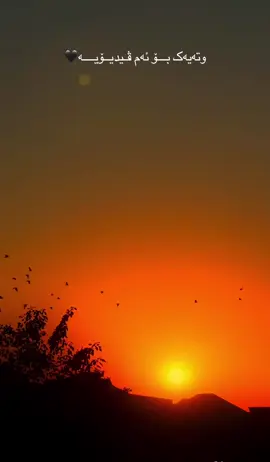 وتەیەک بـــۆ ئەم ڤـیدیــۆیــــە🖤#soran #hawler #wta #accc 