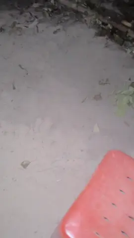 เริ่มประทะ04:59 #ชายแดนไทยกัมพูชาล่าสุด