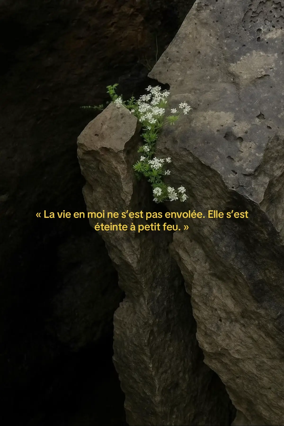 #poetry #poetrytok #writing #pain #pourtoii 