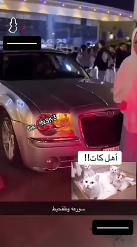 دوج اهل كات 🐈                                     #betoz #4u #viral #foryou #foryoupage 