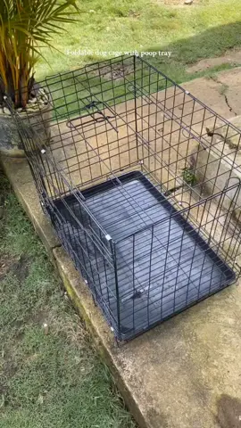 Dog cage with poop tray ✨  #dogcage #catcage #heavydutypetcage  #dogcagewithpooptray  #petcage 