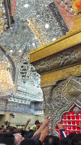 #كربلاء_المقدسه❤️🙏 #يا_صاحب_الزمان #العتبة_الحسينية_المقدسة 