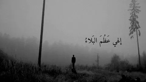 #قران_كريم #دعاء_يريح_القلوب #fyp 