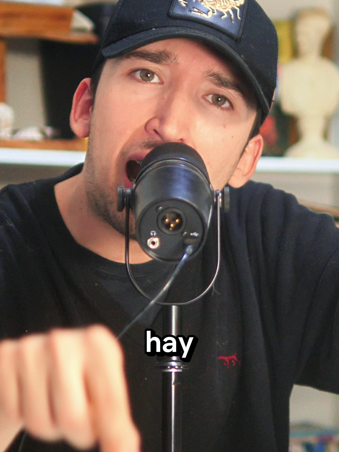 Este video desmonta uno de los fenómenos políticos más incómodos de Chile: cómo los sectores más vulnerables terminan defendiendo proyectos que jamás han estado pensados para ellos. No es ignorancia, es una pedagogía emocional construida durante décadas, donde el sueño del ascenso reemplazó a la reflexión crítica. Aquí expongo, sin anestesia, la trampa cultural que convierte la desigualdad en aspiración y la injusticia en normalidad. Porque en Chile no votamos según nuestra realidad; votamos según el sueño que nos enseñaron a repetir. #ChileDespiertaLaConciencia #PolíticaSinMiedo #DesigualdadEstructural