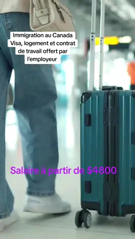 Tu veux aussi partir au Canada ? Regarde bien👇 #immigrationcanada #visacanada #TravaillerAuCanada #ContratDeTravailCanada #Immigration20252026 
