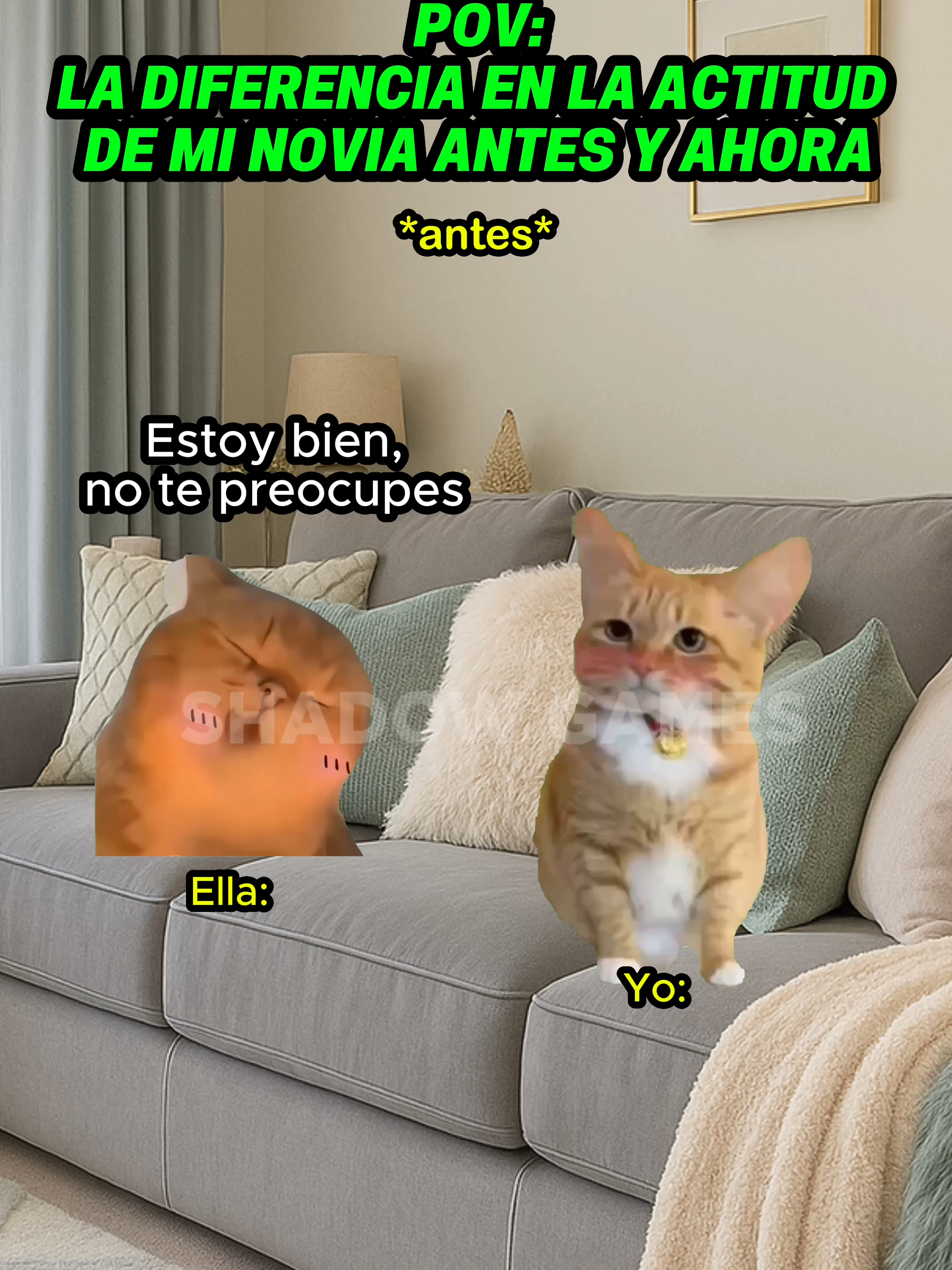 La actitud de mi novia antes y ahora #gatitoslindos #storytime