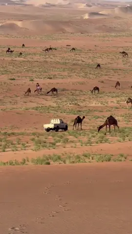 #4u #fouryou #foryoupage #explor 