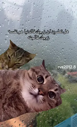 #في هذا اليوم 