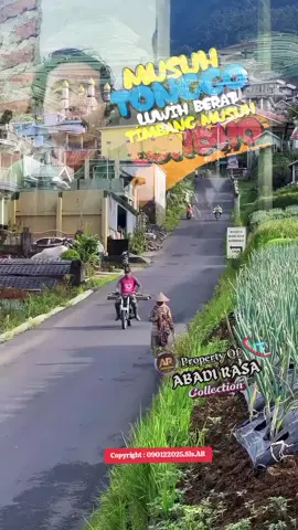 #CapCut Musuh e.... #jelajahsurabaya #shifa9575 #hambaalloh_44 #ariska731 #jelajahjakarta #jelajahsemarang #jelajahungaran #gioxapc026 #jangkauanluastiktok #tiktokviral #kontentiktokviral #abadirasa352 