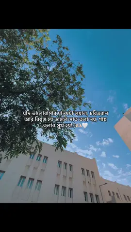 যদি ভালোবাসার মানুষটা লয়াল, চরিত্রবান আর বিশ্বস্ত হয় তাহলে সাত তলা নয়, গাছ তলাও সুখ হয়!:)🫶🏻🤍#foryou #unfreezemyacount #qatar🇶🇦 #tiktokbangladesh🇧🇩 #fypシ゚ 