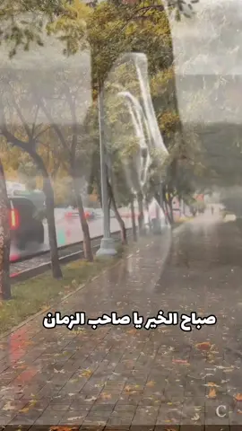 #CapCut  #صباح_الخير_يا_صاحب_الزمان #دعاء_العهد_محسن_فرهمند 