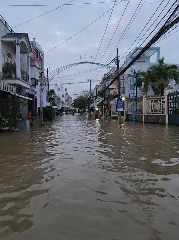 chợ bình thủy quê tôi mùa nước ngập 20/10 al #DũngVlogs83 #nuocngapcantho #chợbìnhthủy #cầnthơ #65cầnthơ 