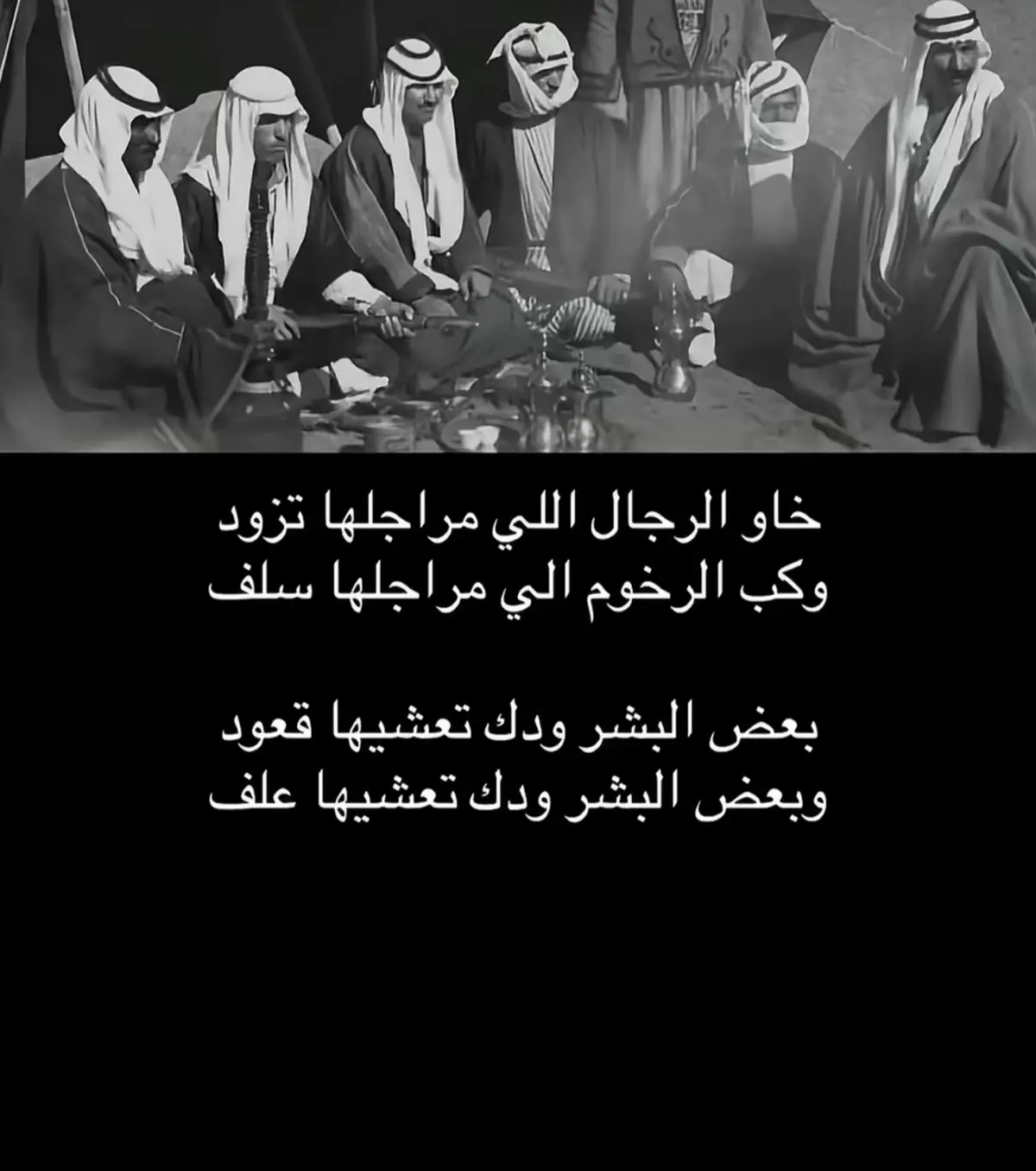 #مقناص_الطيور #كرامه #شعر #الكفو 