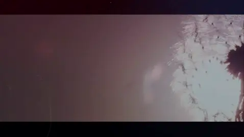 ♥️﷽♥️ ۞اَللهُمَّ صَلِّ عَلَى سَيِّدِنَا مُحَمَّدٍ وَعَلَى آلِ سَيِّدِنَا مُحَمَّدٍ۞ 💌Ustadzah Halimah Alaydrus💌 (Maka sebutlah nama Allah, Allah akan sebut namamu (QS Albaqarah 152) Ketika Allah mengizinkanmu berdzikir, berarti Dia akan menyebut namamu. Alangkah berharganya makhluk hina pendosa macam kita jika disebut nama kita oleh-Nya ?  Maka, kita berharga, saat dzikrullah Saat kita menyebut nama Allah #halimahalaydrus #ustadzahhalimahalaydrus video by @muhasabahcintaevent  🌹♥️♥️🌹