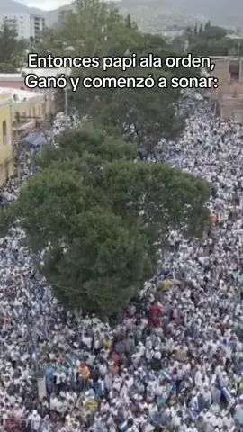 #papipresidente💪🇸🇴 #partidonacional #nasryasfura #pnh 