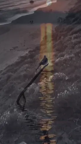 سلاماً لمن تواجدوا في حياتنا وأضاءوها. ‏لمن صبروا معنا.......وهمسوا إلينا. ‏ألا نحزن ......فكل شئ سيصبح أجمل. ‏سلاماً لمن رسموا على وجوهنا ضحكات صادقة. ‏سلاماً لمن ساروا معنا ولم يملّوا. ‏سلاماً عليهم أينما وُجدوا وأينما حلّوا ❤️