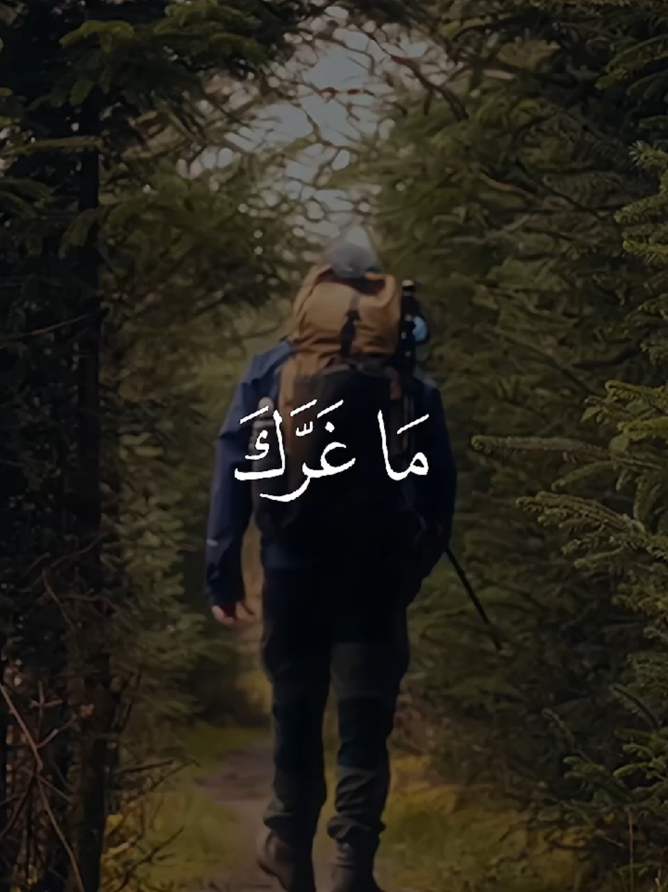 ﴿ يَا أَيُّهَا الْإِنسَانُ مَا غَرَّكَ بِرَبِّكَ الْكَرِيمِ ﴾ [سورة الإنفطار - #محمد_صديق_المنشاوي ]  #قران #quran   #fifarabcup #sportsontiktok 