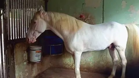 #နာကောက်ချောချက်😍 #လျှောက်တယ့်လမ်းချင်းမတူဝူးလေ #viewမတက်လဲတင်တယ်ကွာ #fypပေါ်ရောက်စမ်း😒👊🏻မရောက်လည်းနေ🥴 