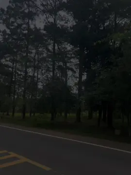 Măng Đen komtum#canhdepthiennhien #dulichtiktok #vairal @ImTrang 