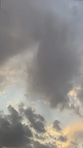 الجو يجنن 🫶🏻😭#العراق #المشخاب_🤍🍃 