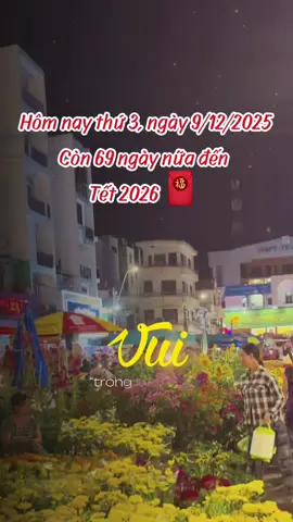 Nôn Tết quá mọi người ơi #tetbinhngo #viral #nhachaymoingay #ngaymoivuive #fyp 