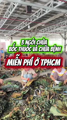 3 ngôi chùa bốc thuốc và chữa bệnh MIỄN PHÍ tại TP. HCM #fyp #foryou #viral #phatphapnhiemmau #trending 
