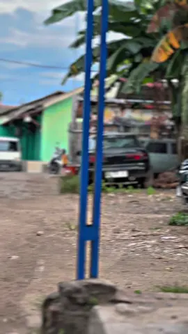 #rxkingperedambiru #fyp 