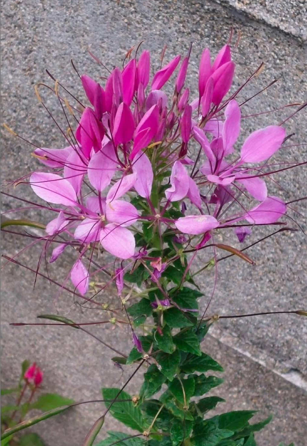 không hủy kết bạn, không liên lạc, không làm phiền #tamtrang 