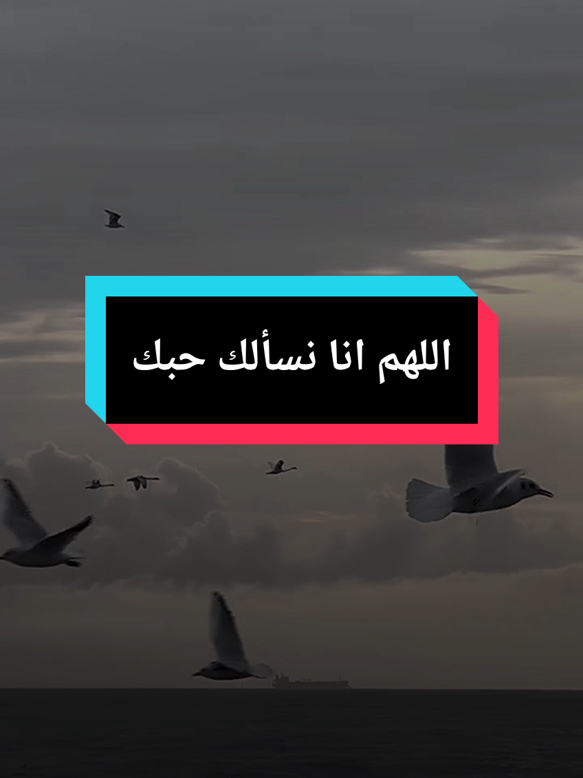 اللهم إنا نسألك حبك وحب من يحبك وحب كل عمل يقربنا الى حبك واجعل القرآن ربيع قلوبنا  #دعاء #islam8qurann #islam8quran 