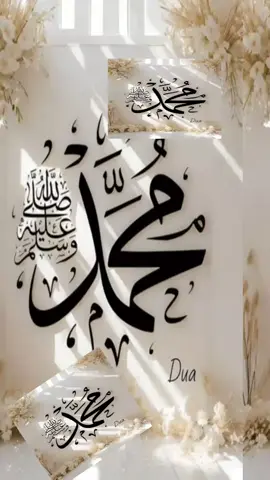 #creatorsearchinsights 