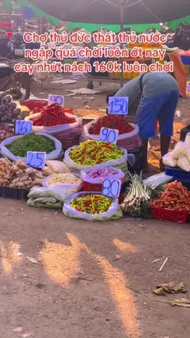 Chợ thủ đức sáng 9/12 thất thủ nước ngập quá chời ớt nay cay hơn hôm qua 1kg ớt mua được 1,5kg thịt kkk#khoinghiep #xaykenhtiktok #amthuc #pipfood #comvanphong 