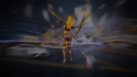 Đú trend pubg 🤪 #pubg #pubgmobile #xuhuong #cobery #trending