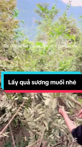 Ai mua ủng hộ nhé ở phần giỏ hàng nhé quả sương muối #xuhuongtiktok #xuhuong2025 #quasuongmuoi 