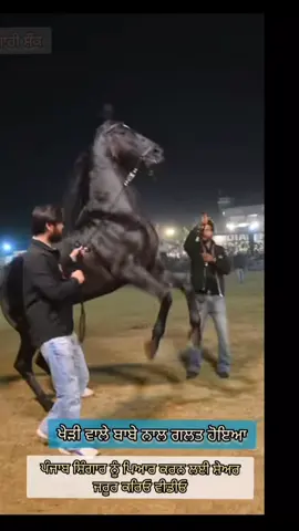 #tiktok #foryou #usa🇺🇸 #viral #trucklife 