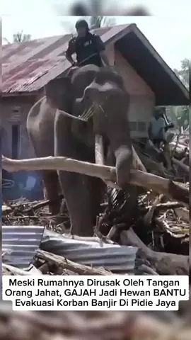 👀Lihat Ini Wahai Para Tangan-tangan JAHAT Sedunia🌎 #RrChannel 