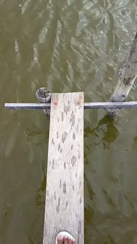 #udangvaname #fypforyou #anktambak  #pejuangrupiah  #acehmalaya🇹🇷🇲🇾❤️ 