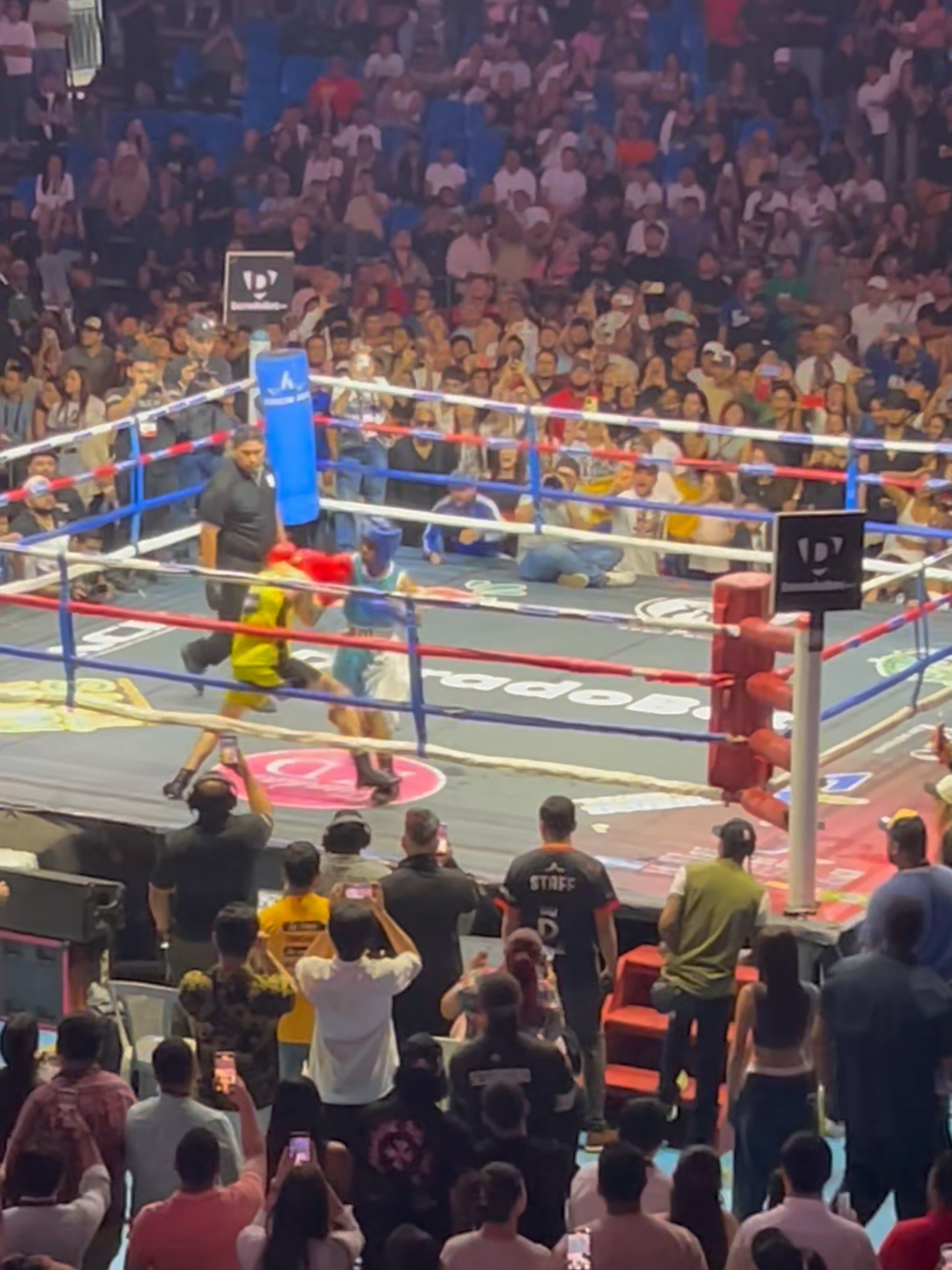 Mini vlog y puntuaciones de la velada de las estrellas 3