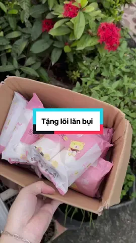 Combo 10 cái lõi lăn bụi 10cm #thuytrangptt #loilanbui #caylanbui #caylanbuiquanao #caylanbuidanang 