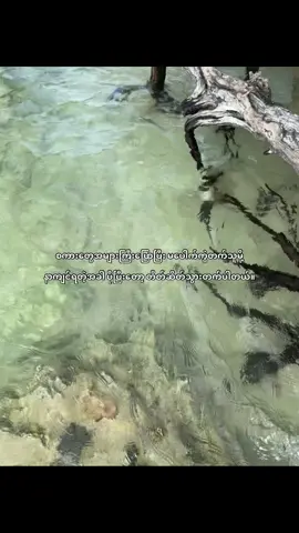 🙇‍♂️#fypシ #viral #fyppppppppppppppppppppppp 