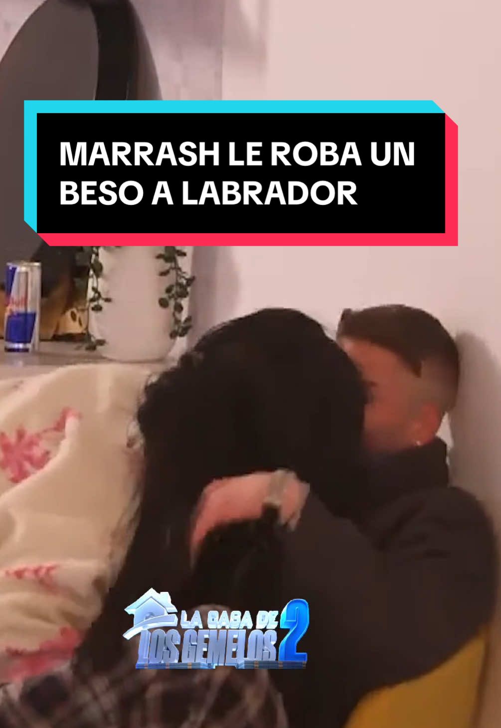 A Labrador no le gustó el beso de Marrash y acaba escapando cual colibrí #labrador #marrash #lacasadelosgemelos2 