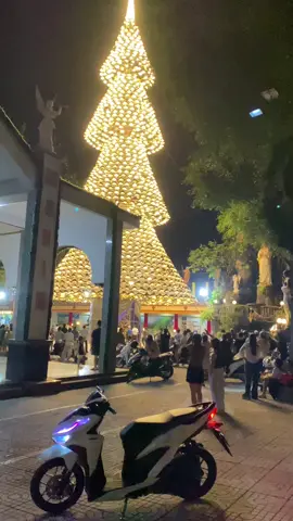 Cái mùa đã nhất của năm 🥶#xuhuongtiktok2025 #scooter #bienhoa #caythongnonla 