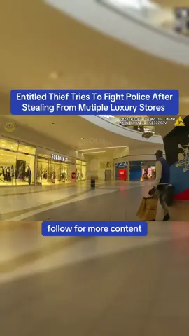 Entitled Thief Tries To Fight Police After Stealing From Mutiple Luxury Stores #cops #copsoftiktok #police #bodycam 