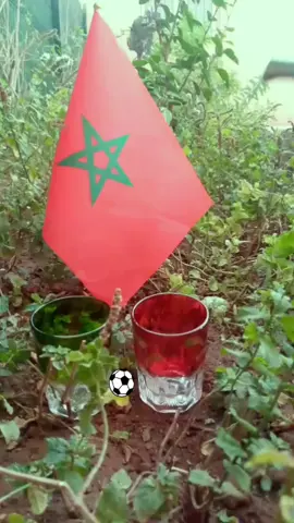 حكمة واتاي #حكمة#كرة_القدم#المنتخب_المغربي#smallcreator#sagesse_et_the 