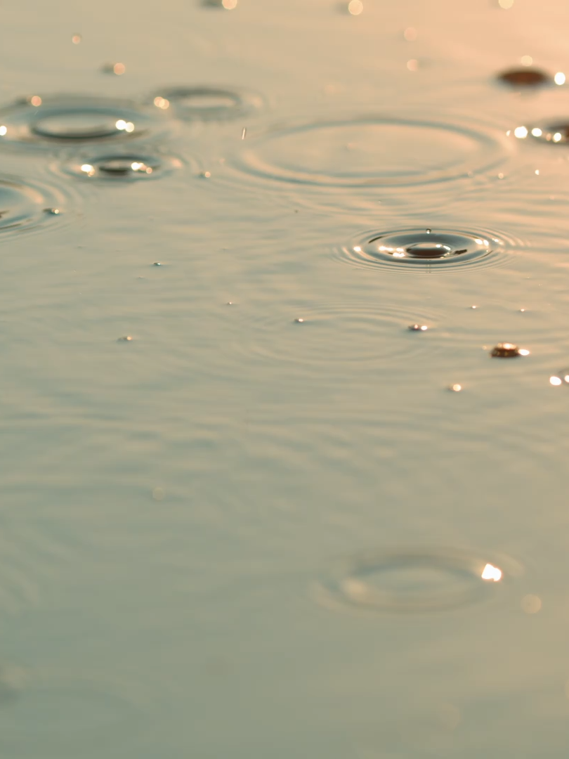 SUNSHINE THROUGH THE RAIN #winwin #dongsicheng #yangchaoyue #sunshinethroughtherain #fyp #cdrama #chinesedrama #今天是太阳雨