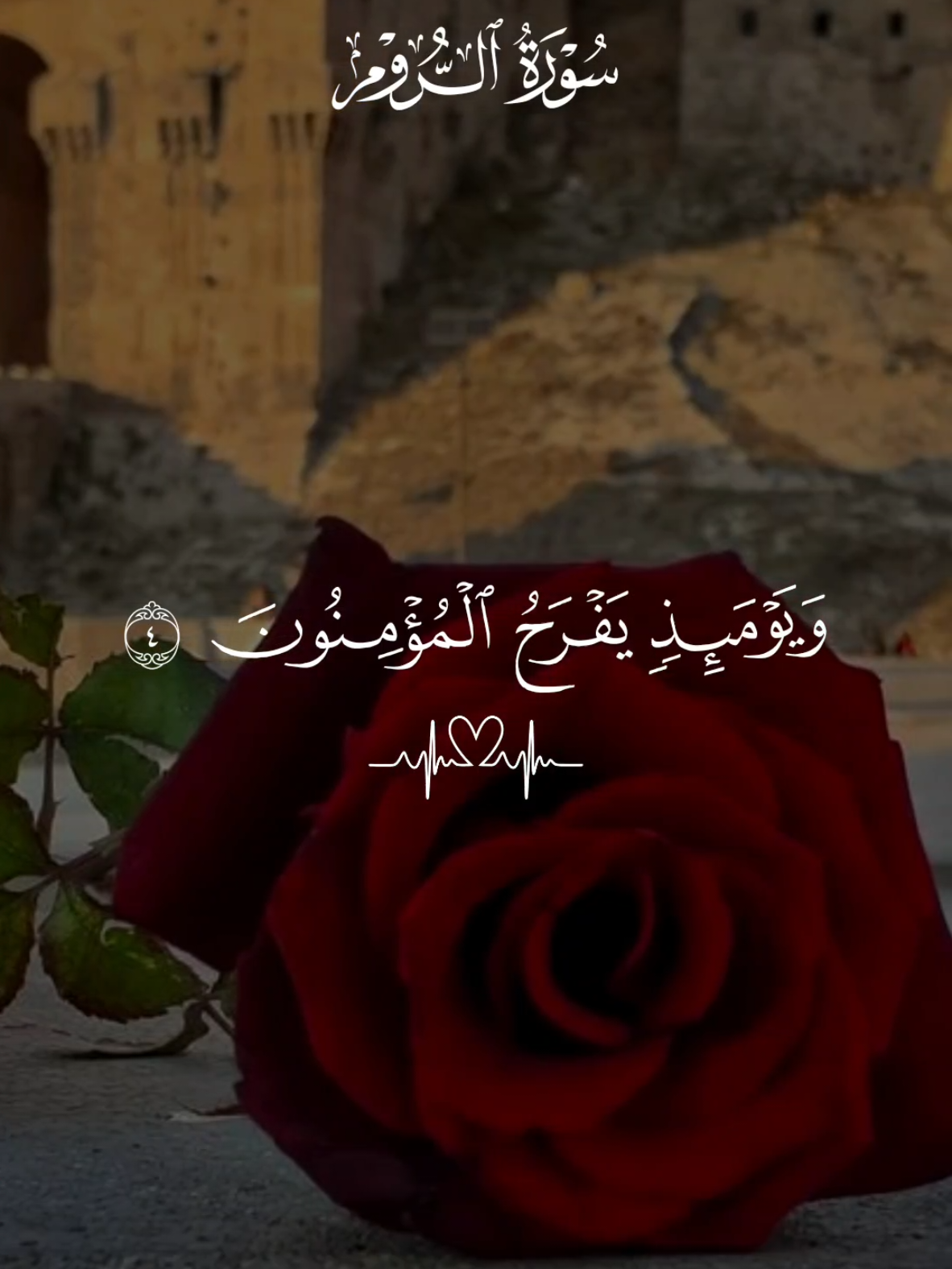 ويومئذ يفرح المؤمنون ..القارئ ماهر المعيقلي سورة الروم 🤍🌿#quran #قران_كريم #قران #fpy #quranvideo 