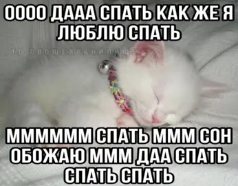Все щт не мои! Из разных источников) Сон — периодически возникающее физиологическое состояние, противоположное состоянию бодрствования, характеризующееся пониженной реакцией на окружающий мир.  Сон состоит из циклов, которые сменяют друг друга несколько раз за ночь. Первый цикл длится 90–100 минут. Затем циклы повторяются, при этом уменьшается доля медленного сна и постепенно нарастает доля быстрого сна. В среднем при полноценном здоровом сне отмечается пять полных циклов.  Некоторые фазы сна и их особенности: Медленный сон. Наступает сразу после засыпания. У человека снижается мышечная активность, частота дыхания и пульса, замедляется обмен веществ и понижается температура, глаза могут совершать медленные движения. Быстрый сон. В этот период активность мозга сходна с состоянием бодрствования. Человек находится в полной неподвижности вследствие резкого падения мышечного тонуса, но глазные яблоки очень часто и периодически совершают быстрые движения под сомкнутыми веками. Главные функции сна: очищение мозга от токсинов, консолидация памяти и «починка» ДНК нервных клеток.  Сон жизненно важен для здоровья, настроения, умственной деятельности, качества работы и социальной жизни. Регулярный недосып увеличивает риск развития серьёзных заболеваний, включая диабет, ожирение, сердечно-сосудистые и психические расстройства.  #щт #кот #котята #озвучка #рекомендации #мем #смех #cat #kitty #fyp #fyppppppppppppppppppppppp #mem #funny #tiktok #сон 