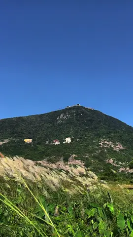 Quê em bình yên…#buontamtrang 