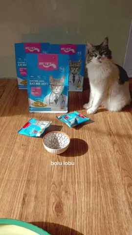 Harga promo Mr.Vet bisa berubah kapan aja 😿 Cek sekarang dan masukin ke keranjang biar nggak ketinggalan promonya 😻😻 #mrvet  #dryfoodrekomendasi #dryfoodforkitten #dryfoodrecommended  #makanankucing 