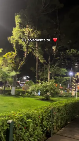 OXAPAMPA🍃✨ #parati #viajes #oxapampa #selva 